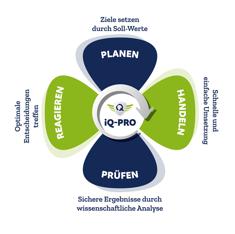 Infografik